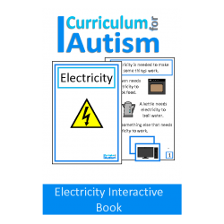 Electricity Interactive Adapted Science Book